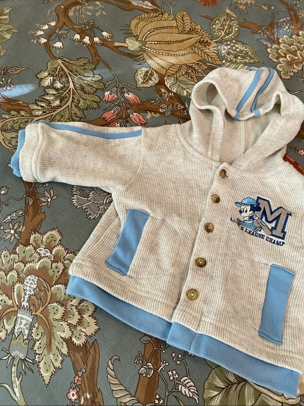 Mickey & Co Hoodie